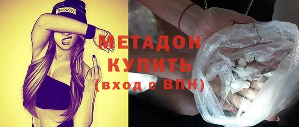 сатива Бородино