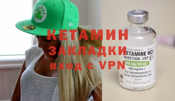 сатива Бородино