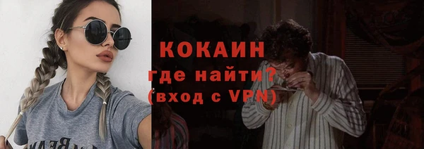сатива Бородино