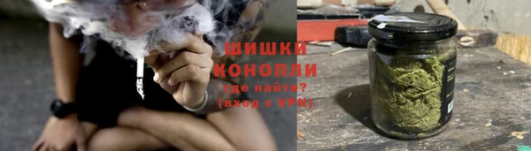 сатива Бородино