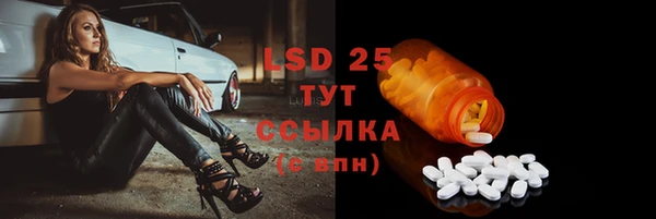 сатива Бородино