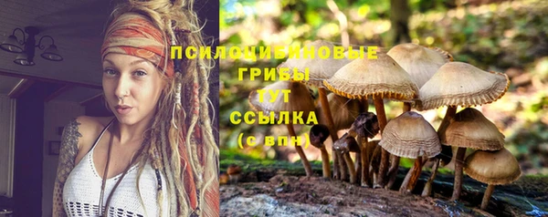 молекула духа Верхний Тагил