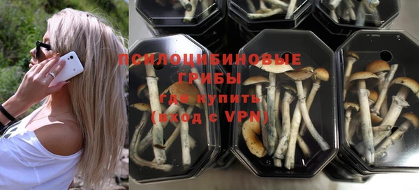 молекула духа Верхний Тагил