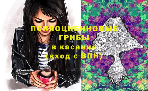 сатива Бородино